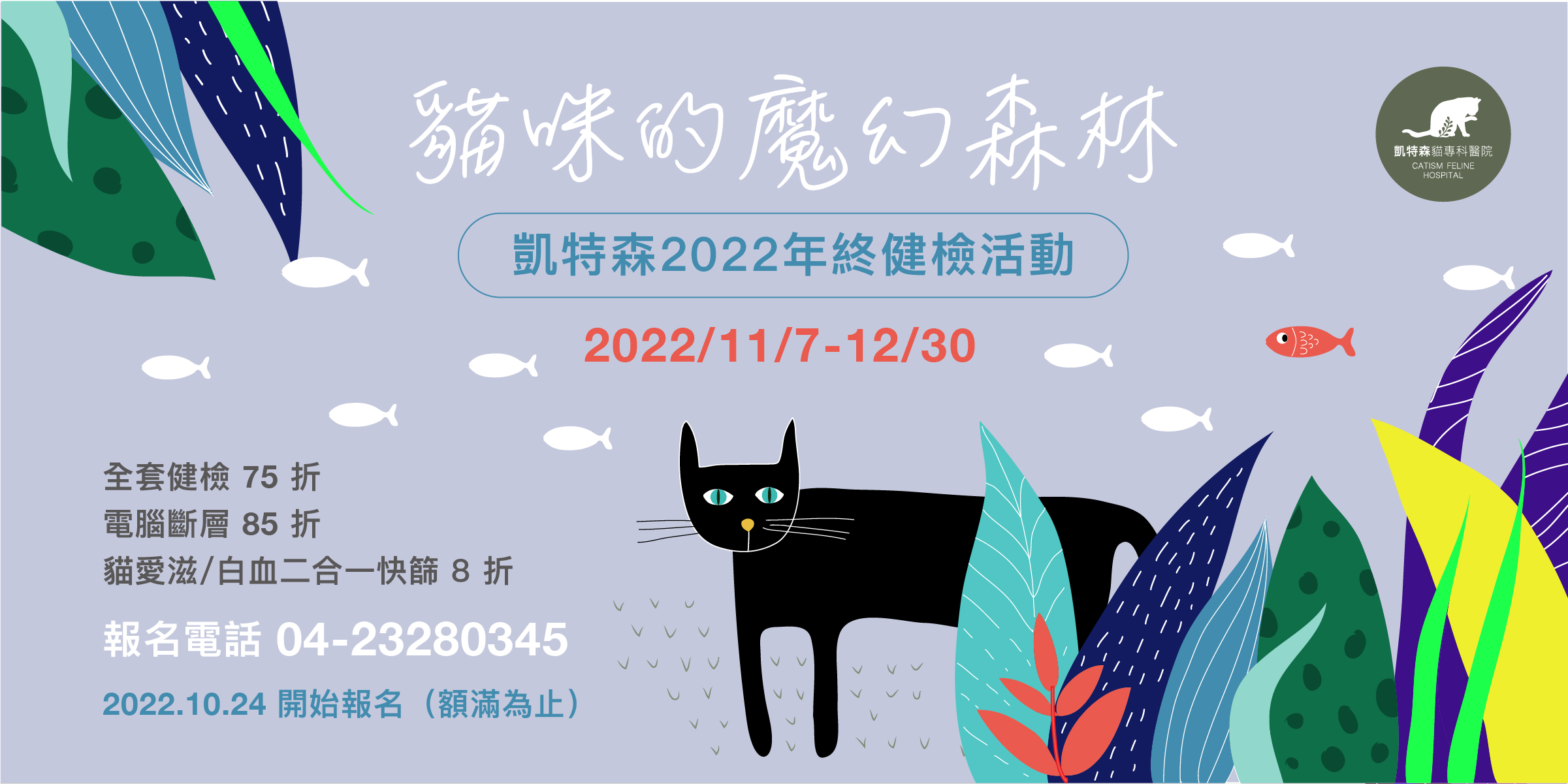 貓咪的魔幻森林-凱特森年終健康檢查
