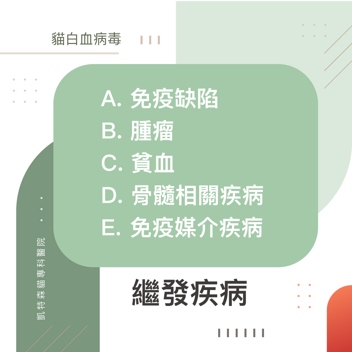 居家按摩: 與貓咪的溫暖陪伴-梁明哲 獸醫師