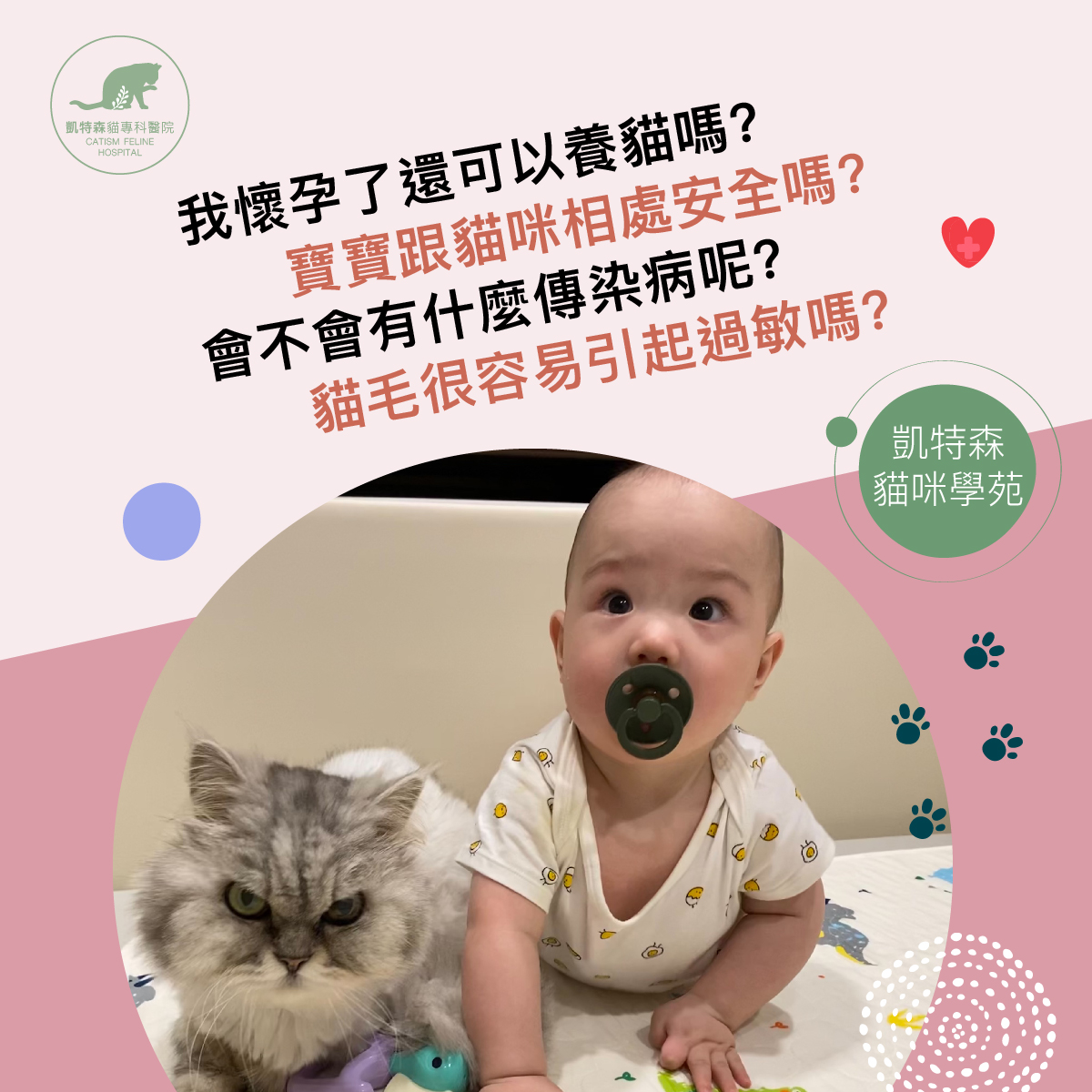我懷孕了還可以養貓嗎?