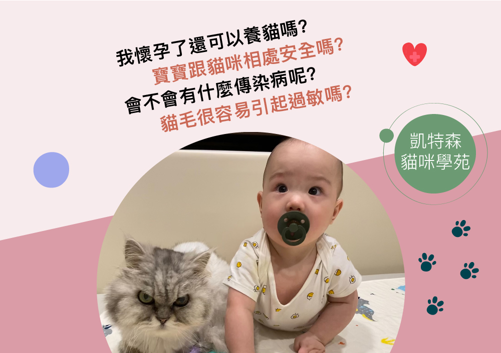 我懷孕了還可以養貓嗎？寶寶跟貓咪相處安全嗎?