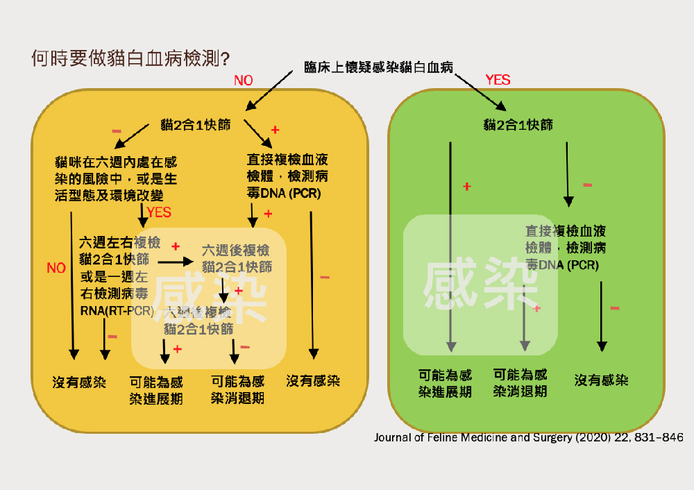 貓免疫缺陷病毒(簡稱:FIV) & 貓白血病毒 (簡稱:FeLV)