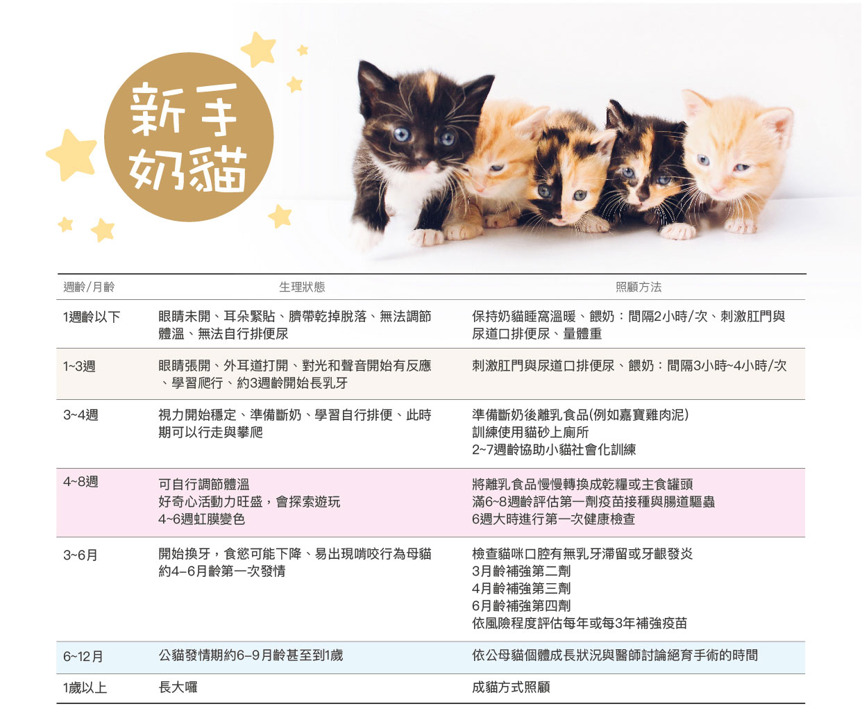 新手奶貓注意事項