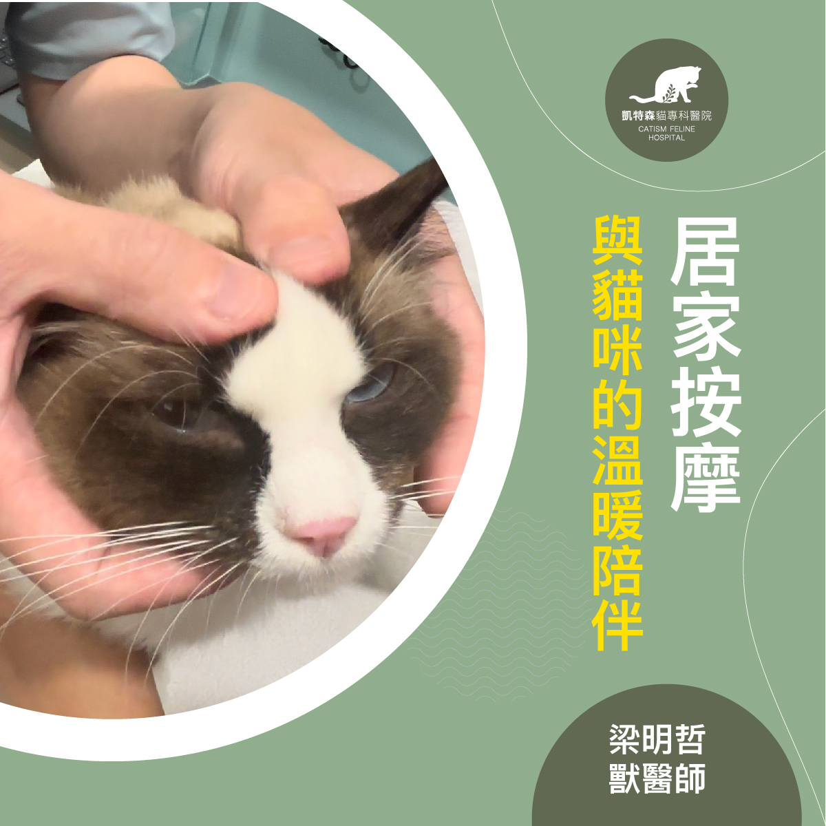 居家按摩: 與貓咪的溫暖陪伴-梁明哲 獸醫師