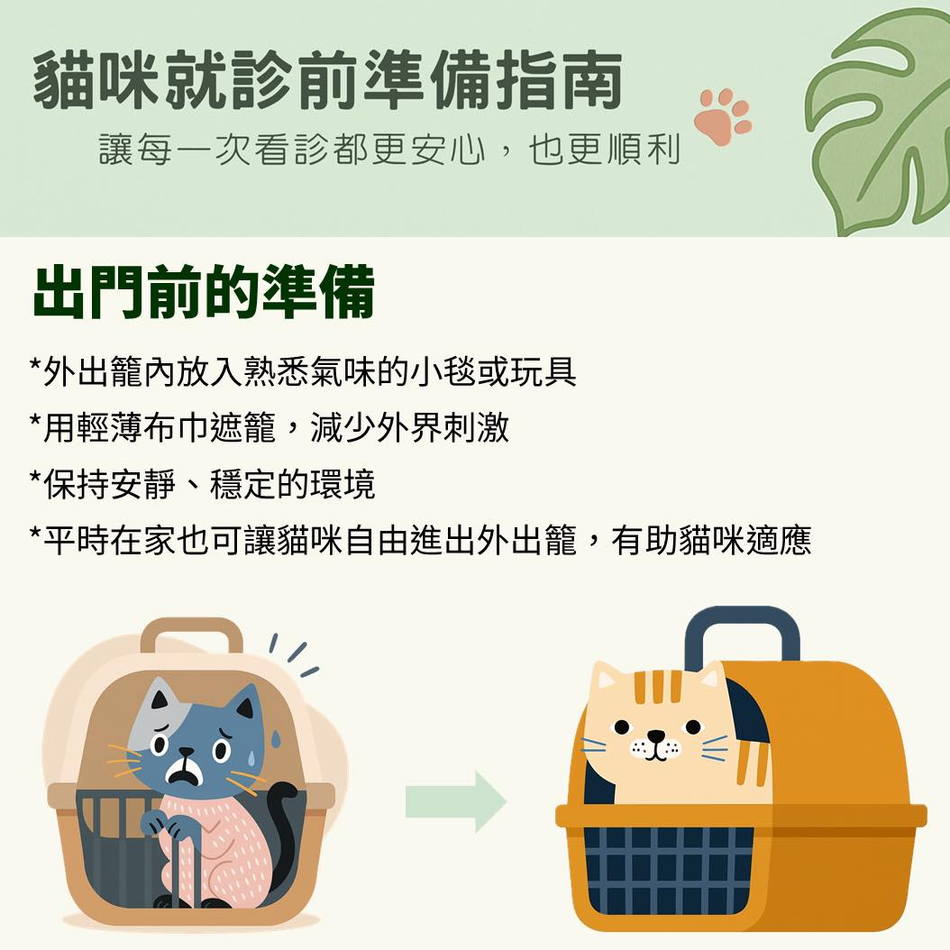 貓咪就診前準備指南