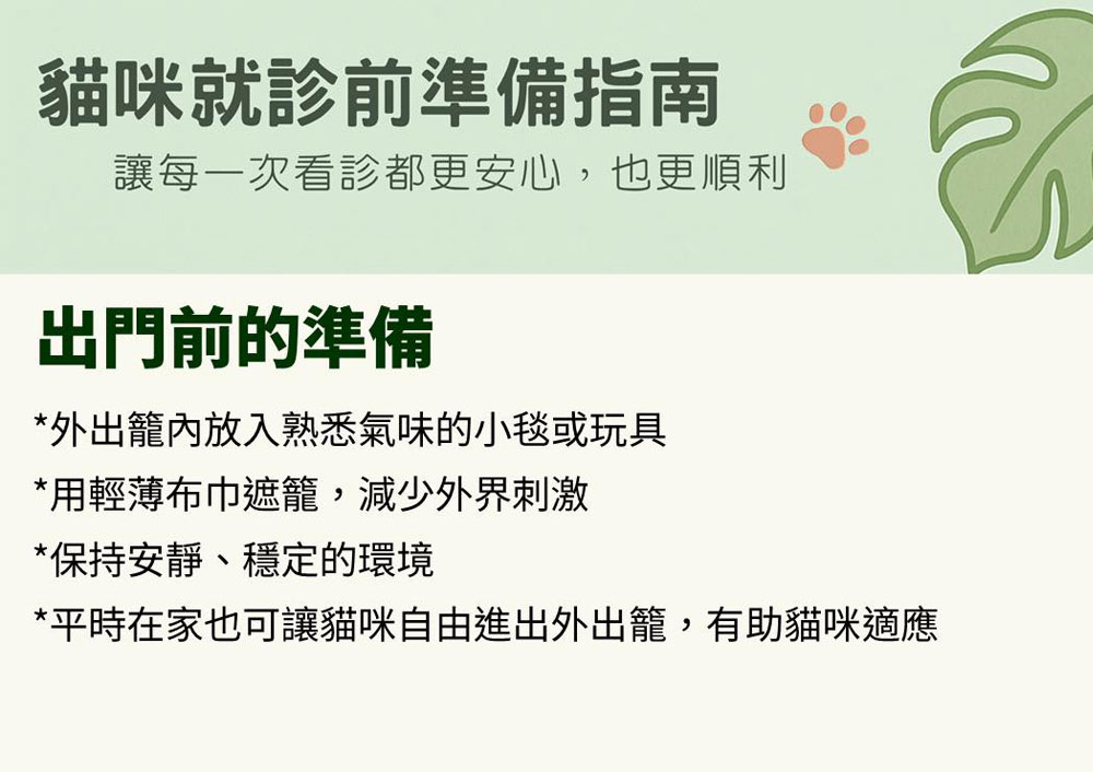 貓咪就診前準備指南