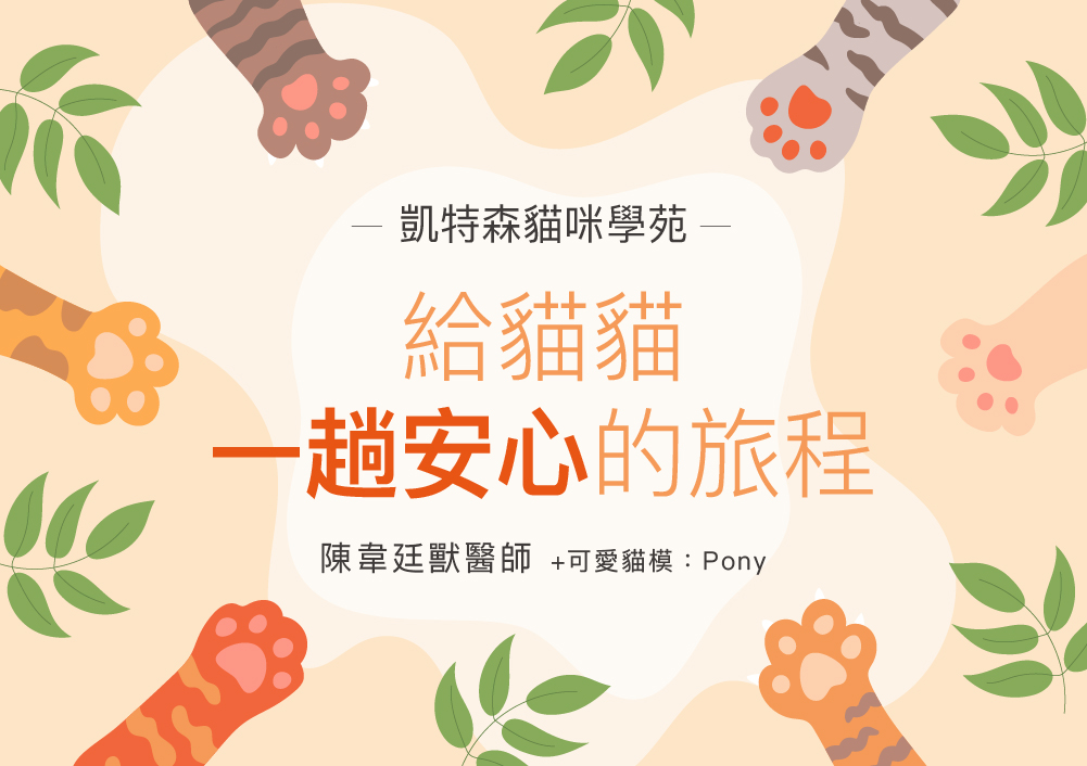 給貓貓一趟安心的旅程